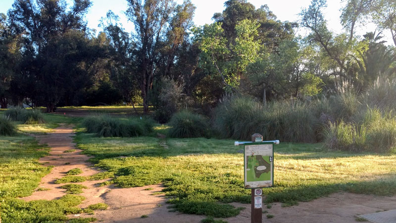 Course Examples - Disc Golf Drive